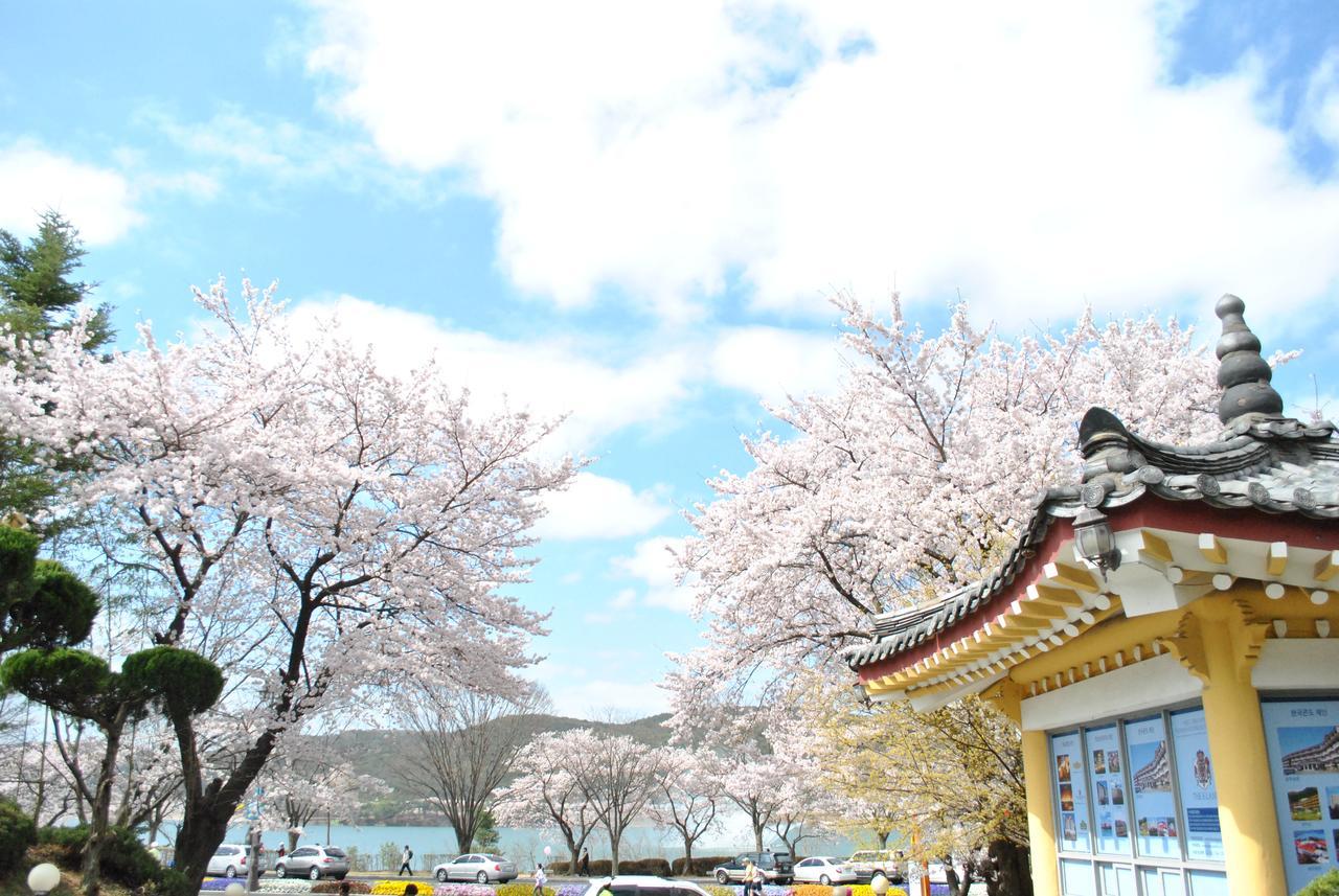 Corea Condo 경주 외부 사진
